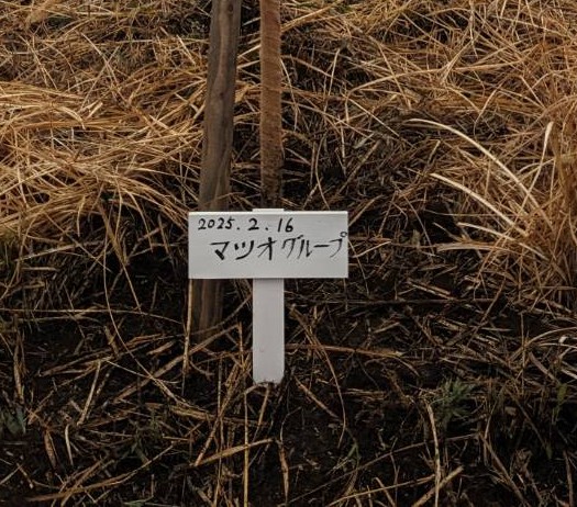2025年2月16日　第12回記念植樹　さくら